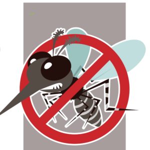 Halte Insekten natürlich fern mit Insektaroma bio Duftmischung 60% (Alkoholverdünnung)