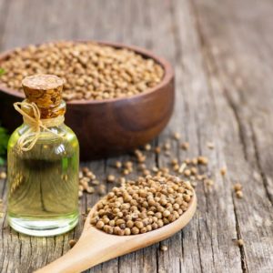 Koriandersamen und ätherisches Öl in Flasche zur Gewinnung von Koriandersamen Öl (Coriandrum sativum)