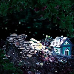 Märchen werden real mit Märchenstunde Duftmischung (ätherisches Öl)