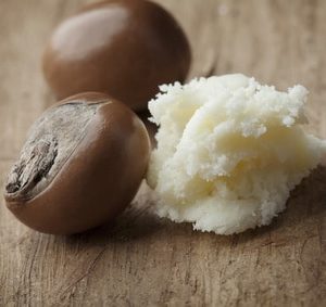 Sheanüsse zur Herstellung von Sheabutter bio