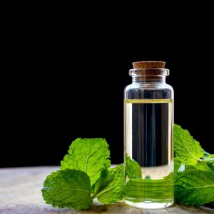 Pfefferminzblätter und Flasche mit Pfefferminzwasser-Pfefferminzhydrolat bio