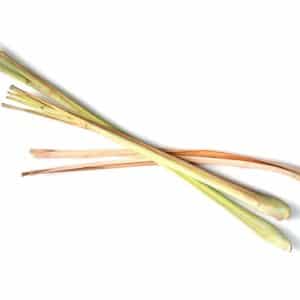 Zitronengras zur Herstellung von Lemongras flexuosus bio Öl