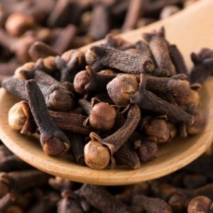 Gewürznelken - Stiele mit Knospen zur Gewinnung von Nelkenstiel Öl bio (Syzygium aromaticum) aus Madagaskar – Ätherisches Öl