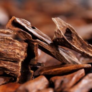 Sandelholz Stücke zur Gewinnung von Amyris Öl Sandelholz Amyris (ätherisches Öl)