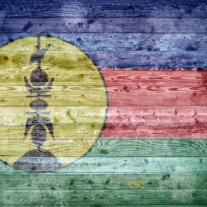 Sandelholz aus New Caledonien zur Gewinnung von Sandelholzöl Pazifik