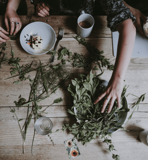 Kräuter & Pflanzen zur Herstellung ätherischer Öle