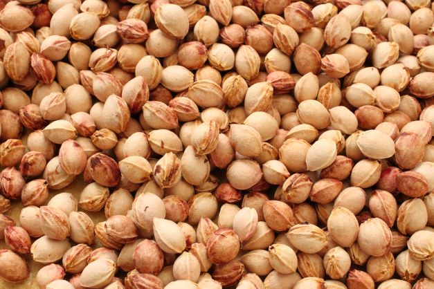 Kerne der Sauerkirsche Prunus cerasus zur Gewinnung von Kirschkernöl bio (kaltgepresst)