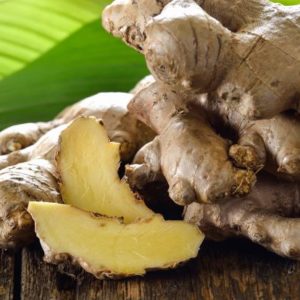 frische Ingwerwurzeln in Bio Qualität zur Gewinnung von Ingweröl bio (ätherisches Öl)