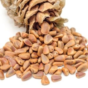 Zederzapfen mit Nüssen zur Gewinnung von Zedernussöl bio