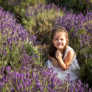 Kind mit Lavendelblüte zur Gewinnung von Lavendelöl Diva extra bio (Frankreich)