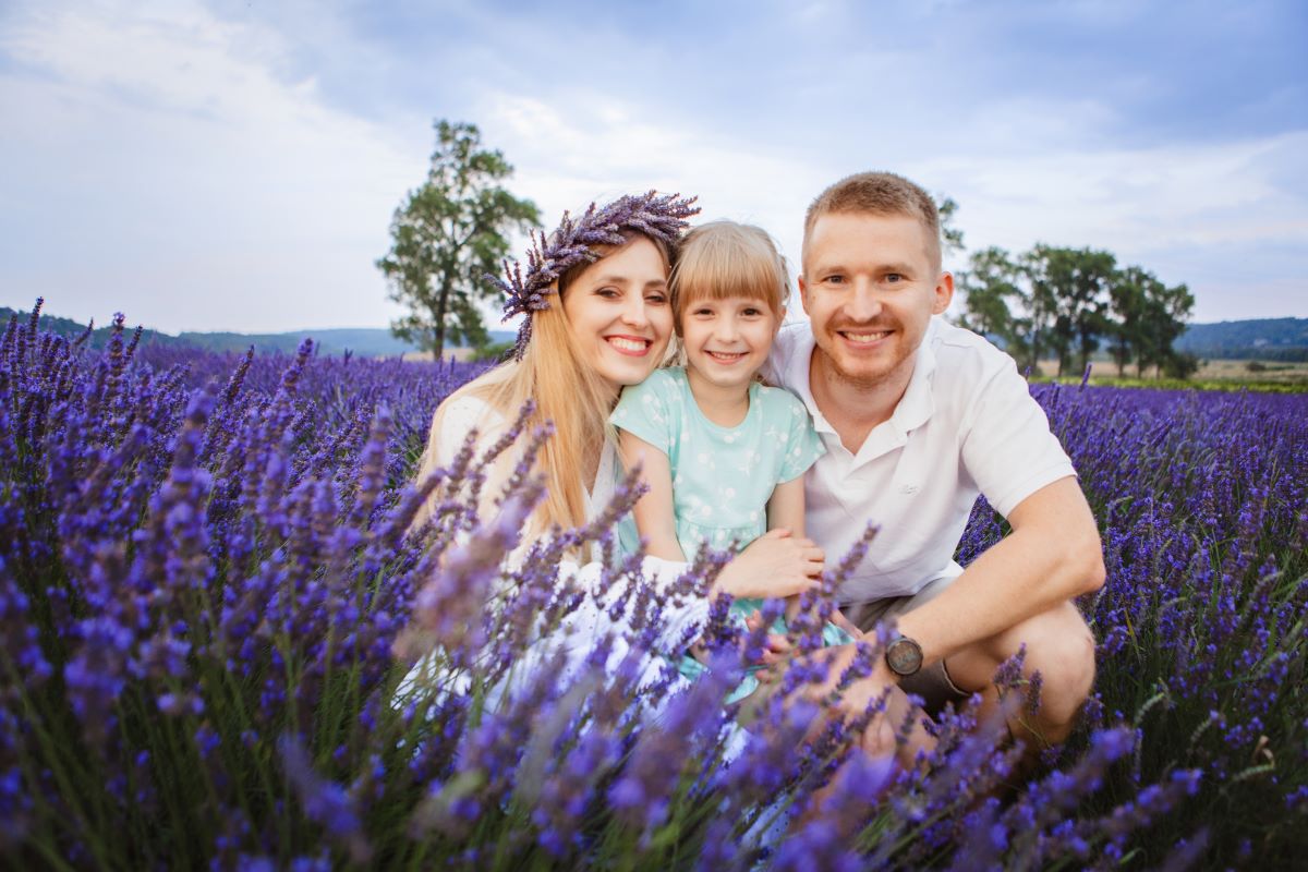 Lavendelfeld in Thrakien zur Gewinnung von Thrakischer Lavendel (ätherisches Öl) bio