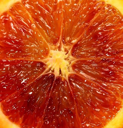 aufgeschnittene Blutorange - Schale der Blutorange zur Gewinnung von Blutorangenöl bio