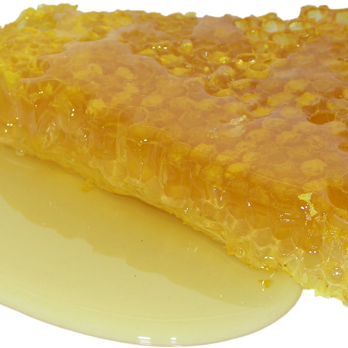 Frische Honigwabe – natürlicher Rohstoff für Bienenwachs Absolue