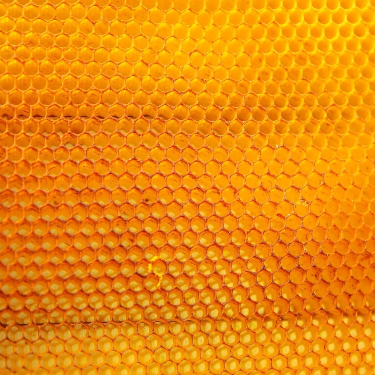 Nahaufnahme einer goldgelben Bienenwabe – natürliche Struktur des Bienenwachses.