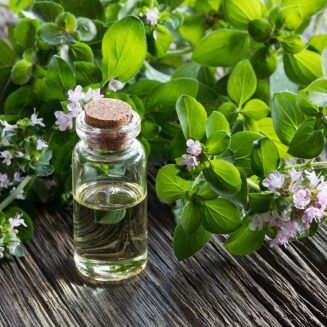 Oreganozweig mit einer Flasche Oreganoöl (dubium carvacrol) bio ätherisches Öl