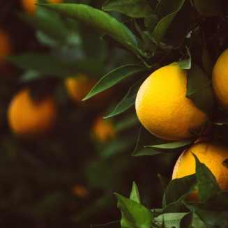 Petit Grain Öl: Wirkung